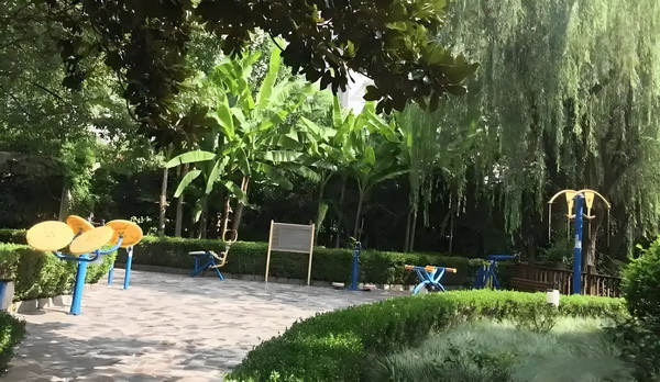 如何落户_神坛上的陈佩斯：九十年代的因，今日的果 神坛上的陈很重这个要